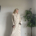 Robe Nora